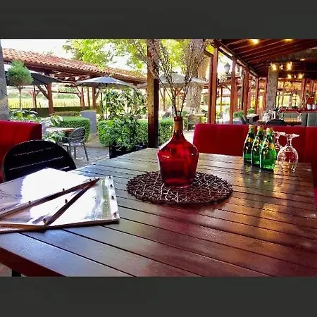 Ostrova פלובדיב